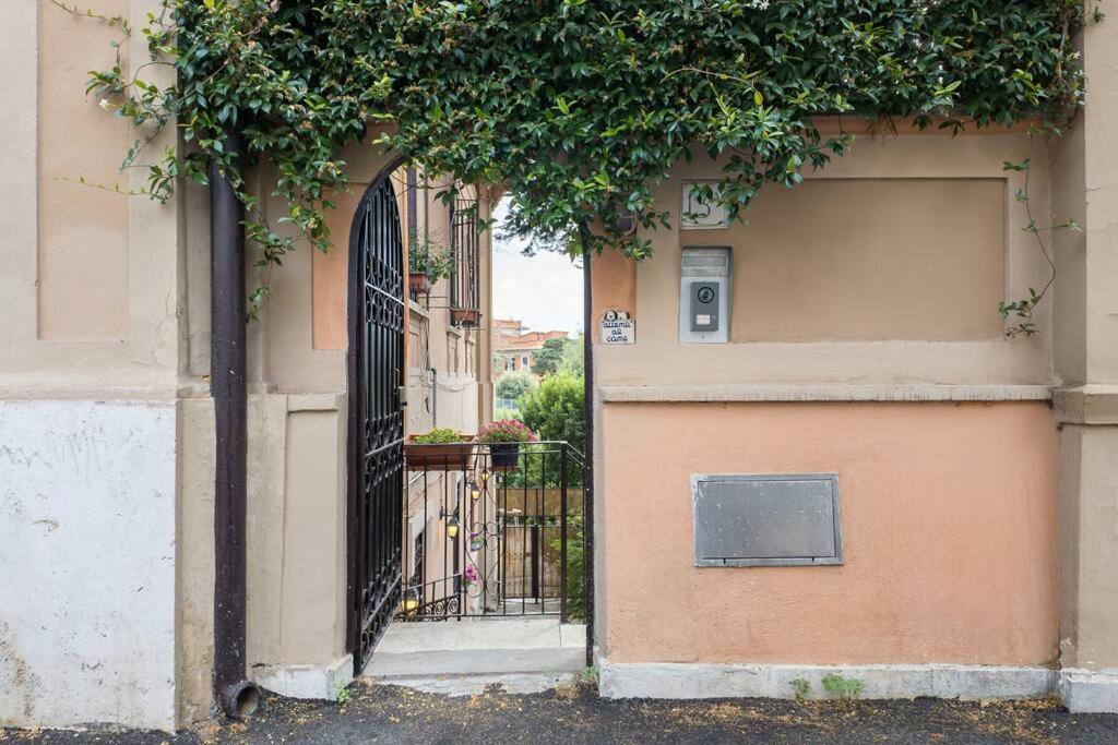 Poerio Home&garden Near The Centre Of Apartment *